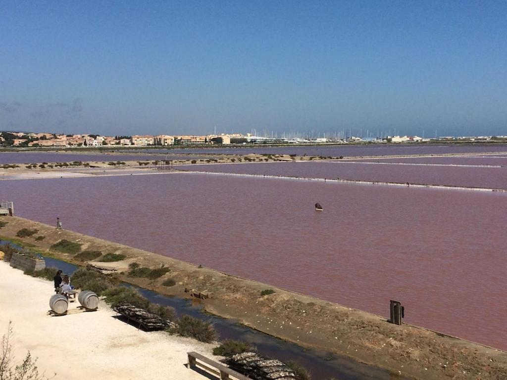 Gruissan Appartement Calme, Vue Sur Port De Plaisance -Clim, Empl.Parking Esterno foto