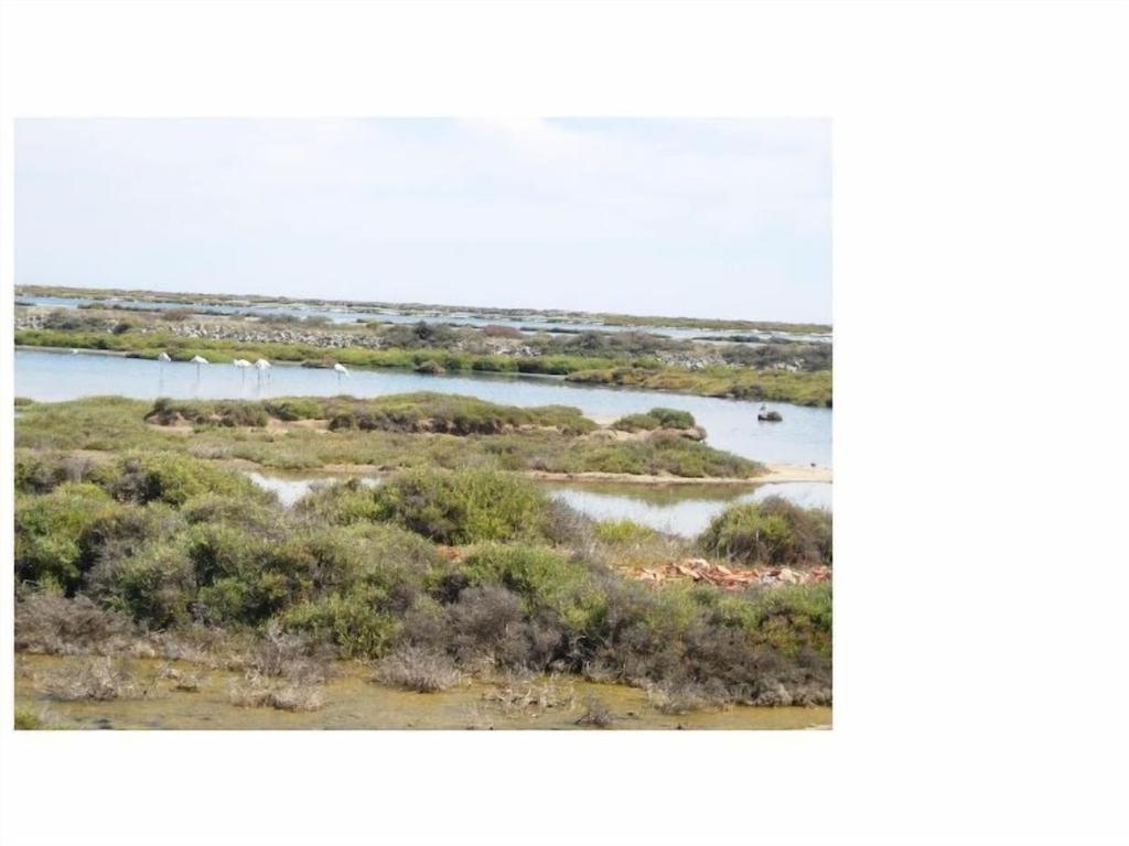 Gruissan Appartement Calme, Vue Sur Port De Plaisance -Clim, Empl.Parking Esterno foto