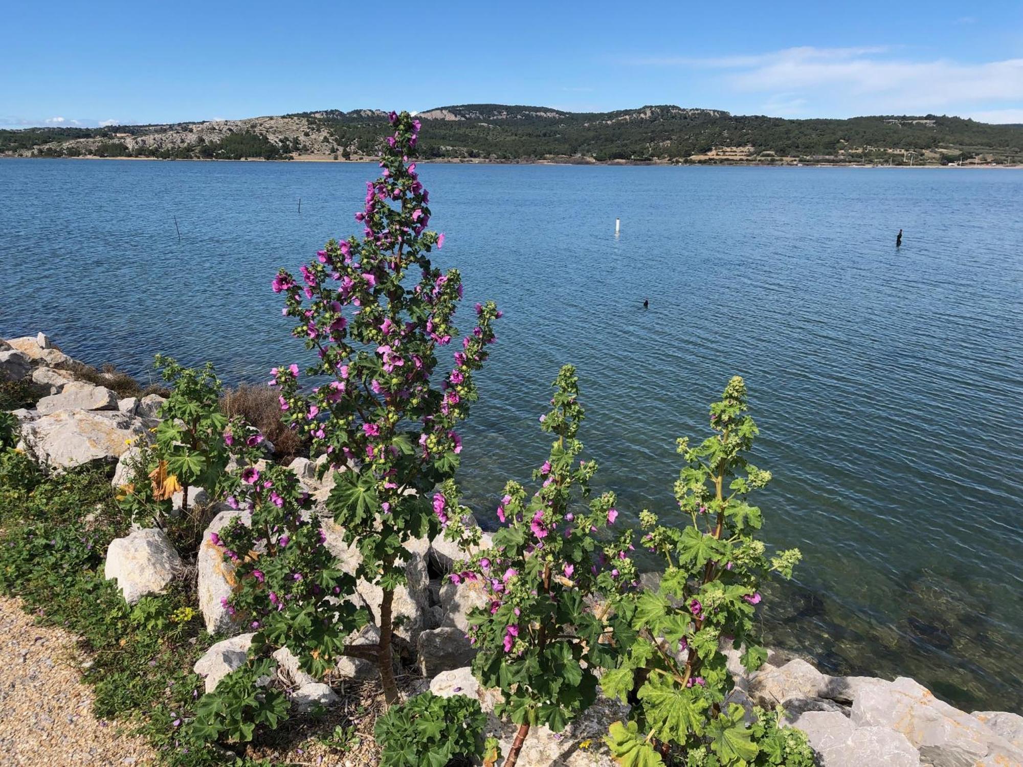 Gruissan Appartement Calme, Vue Sur Port De Plaisance -Clim, Empl.Parking Esterno foto