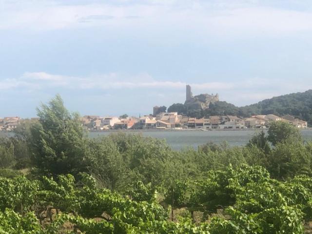 Gruissan Appartement Calme, Vue Sur Port De Plaisance -Clim, Empl.Parking Esterno foto