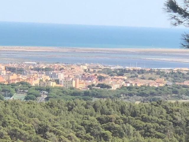 Gruissan Appartement Calme, Vue Sur Port De Plaisance -Clim, Empl.Parking Esterno foto